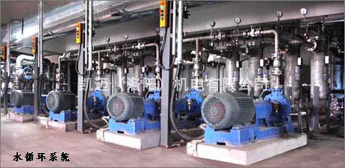 Desalted water circulation system